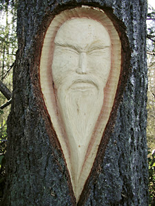 Tree carving by Tom Hawk Ear