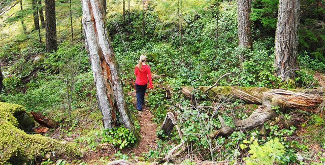 Quadra Island hiking trails, British Columbia Canada